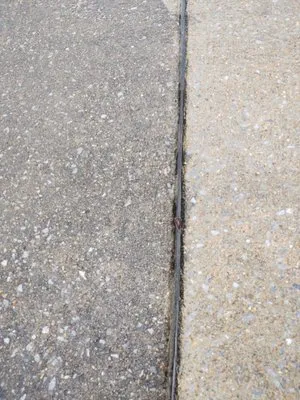 Chambers Lawn Care and pressure washing Logo