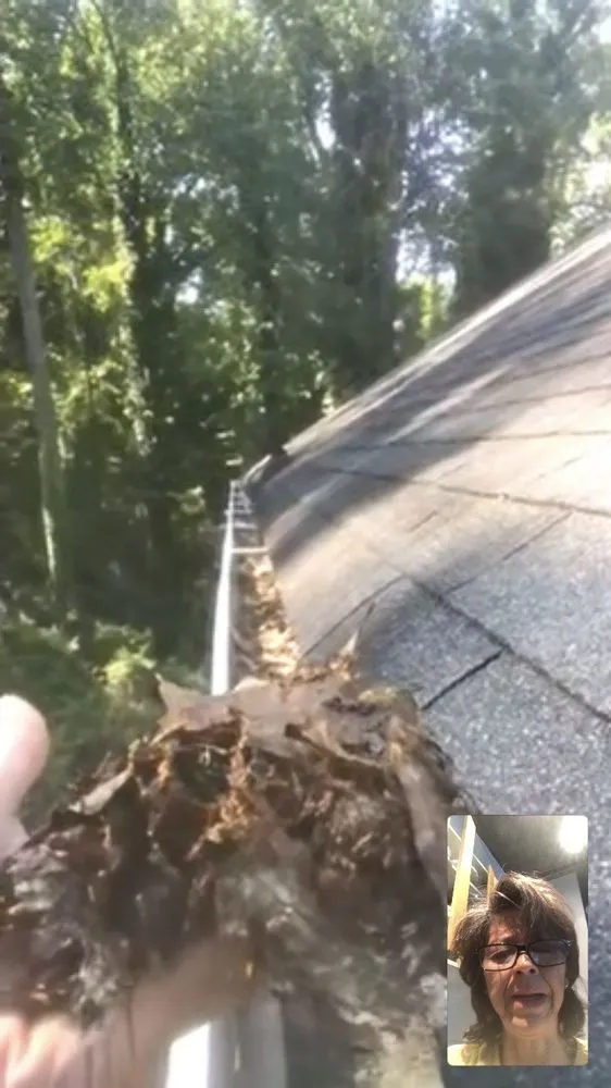 Reliable landscaping services for beautiful yards across Atlanta, GA - Chambers Lawn Service