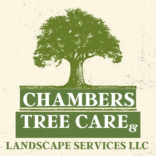 Professional yard maintenance in Milwaukee, WI - Chambers Tree Care & Landscape Services