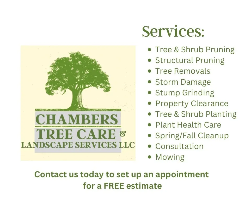 Local lawn mowing service near you across Milwaukee, WI - Chambers Tree Care & Landscape Services