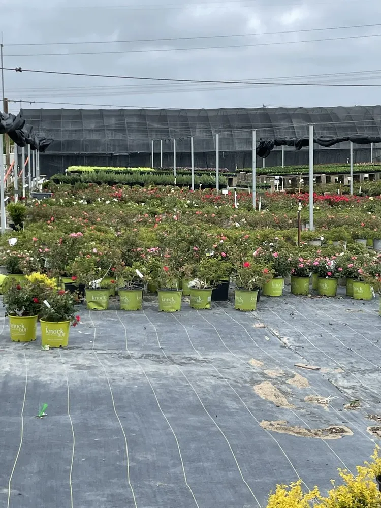 Trusted garden landscaping for outdoor upgrades in Fort Worth, TX by Chameleon lawn care and landscaping