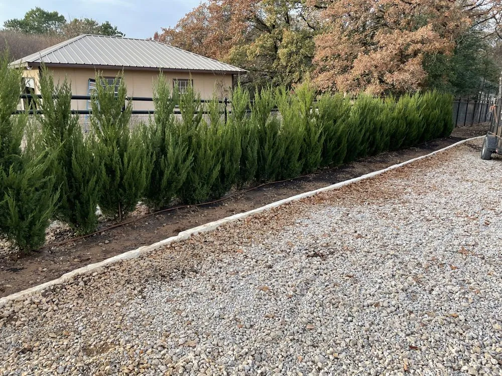 Local landscaping services experts serving Fort Worth, TX - Chameleon lawn care and landscaping