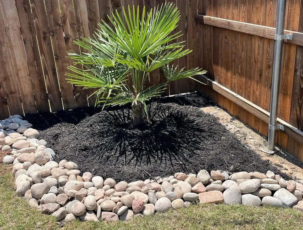 Local lawn mowing service for residential properties in Fort Worth, TX by Chameleon lawn care and landscaping