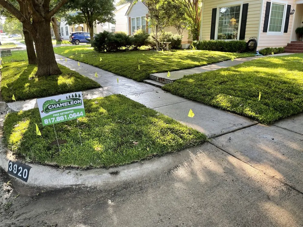 Trusted lawn mowing service in Fort Worth, TX by Chameleon lawn care and landscaping