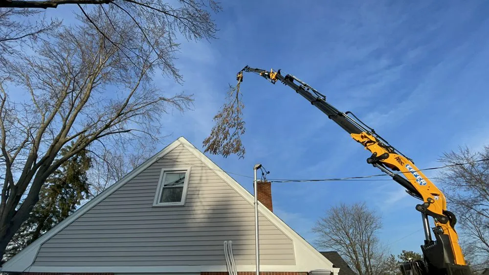 Top-rated residential landscaping for outdoor upgrades across Latham, NY - Chameleon Property Services