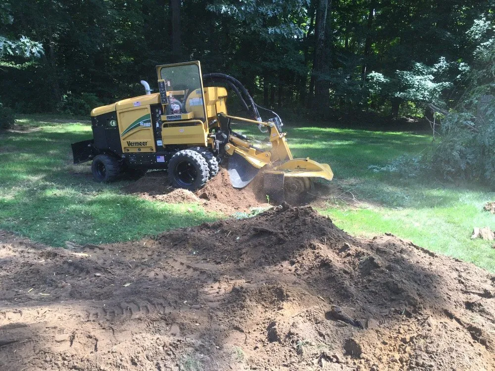 Top-rated garden landscaping for beautiful yards in Latham, NY by Chameleon Property Services
