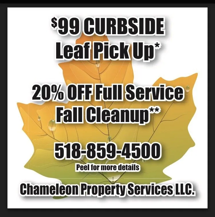 Top-rated garden landscaping near you across Latham, NY - Chameleon Property Services