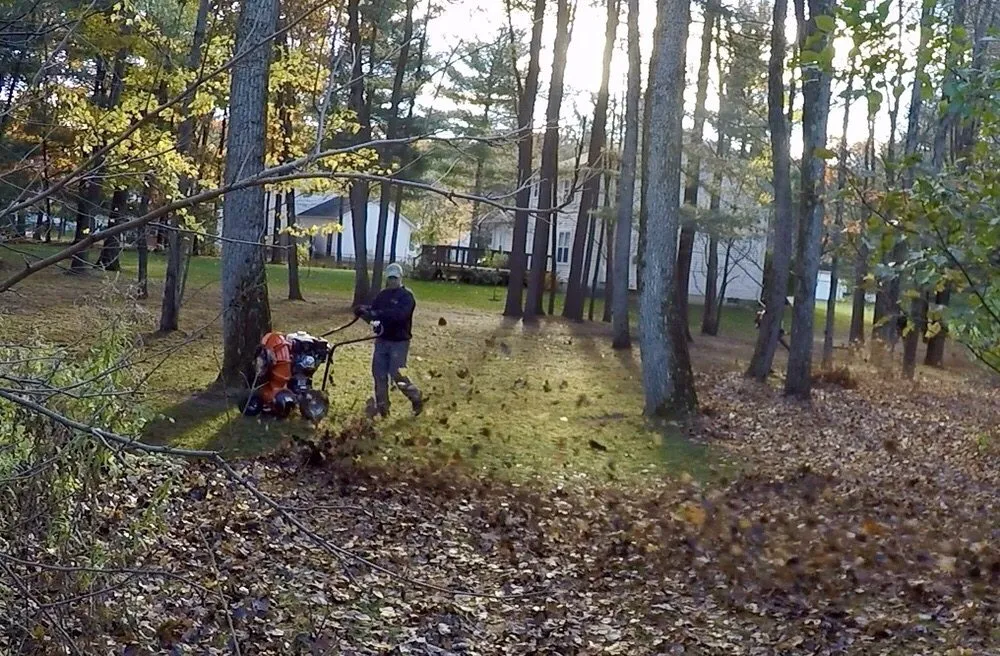 Custom lawn care service experts serving Latham, NY - Chameleon Property Services