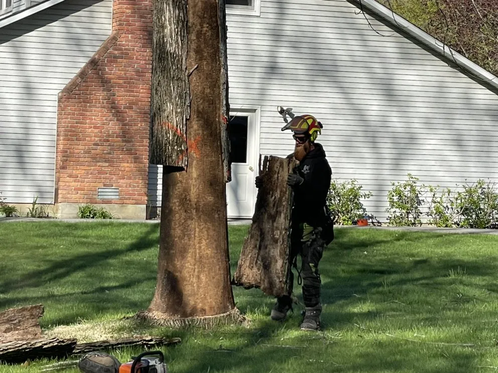 Custom yard maintenance in Latham, NY - Chameleon Property Services
