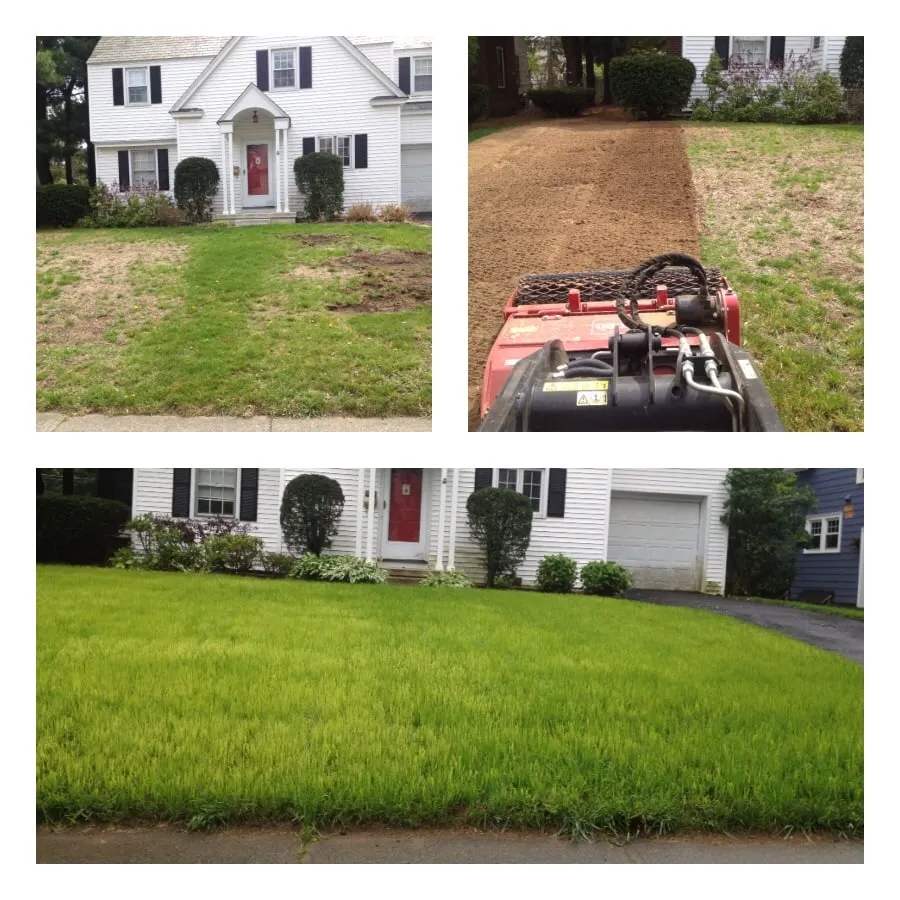 Top-rated lawn mowing service for homes across Latham, NY - Chameleon Property Services