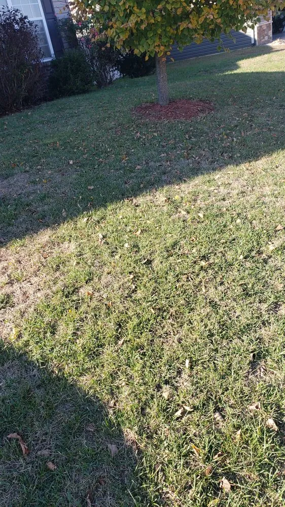 Trusted landscape design in Swansea, IL - Chamelion Landscaping