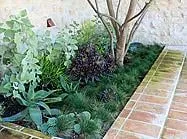 Local residential landscaping with custom design across Laguna Niguel, CA - Chamley Landscape Inc