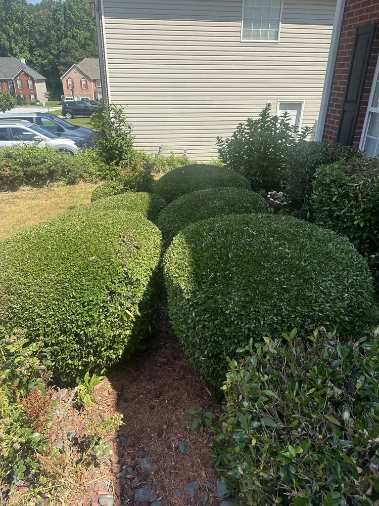 Trusted outdoor landscaping for outdoor upgrades across Snellville, GA - Chamo Landscaping