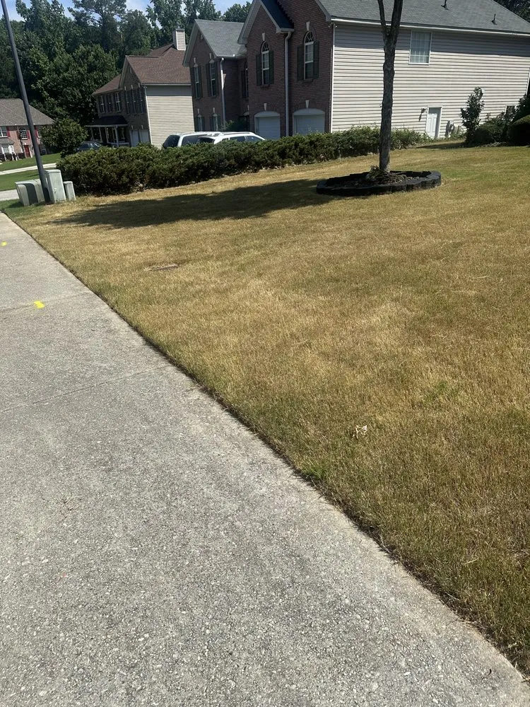 Expert yard cleanup service experts serving Snellville, GA - Chamo Landscaping