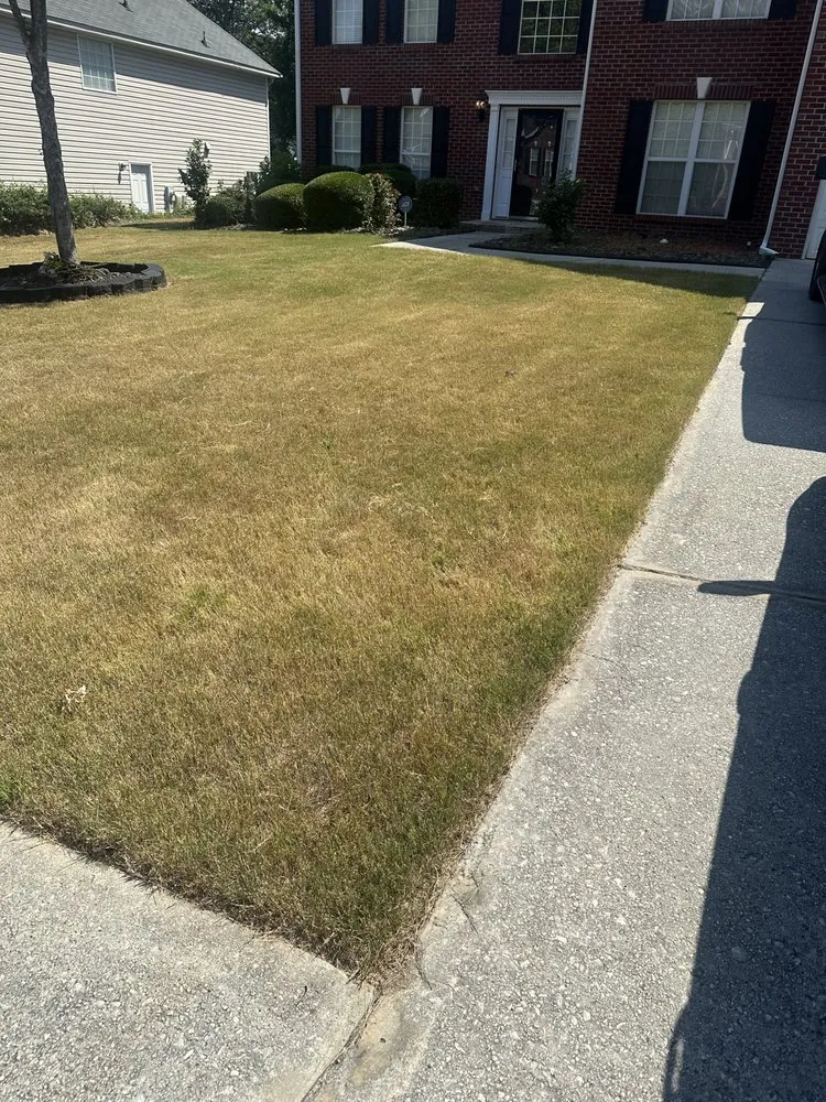 Affordable outdoor landscaping in Snellville, GA by Chamo Landscaping