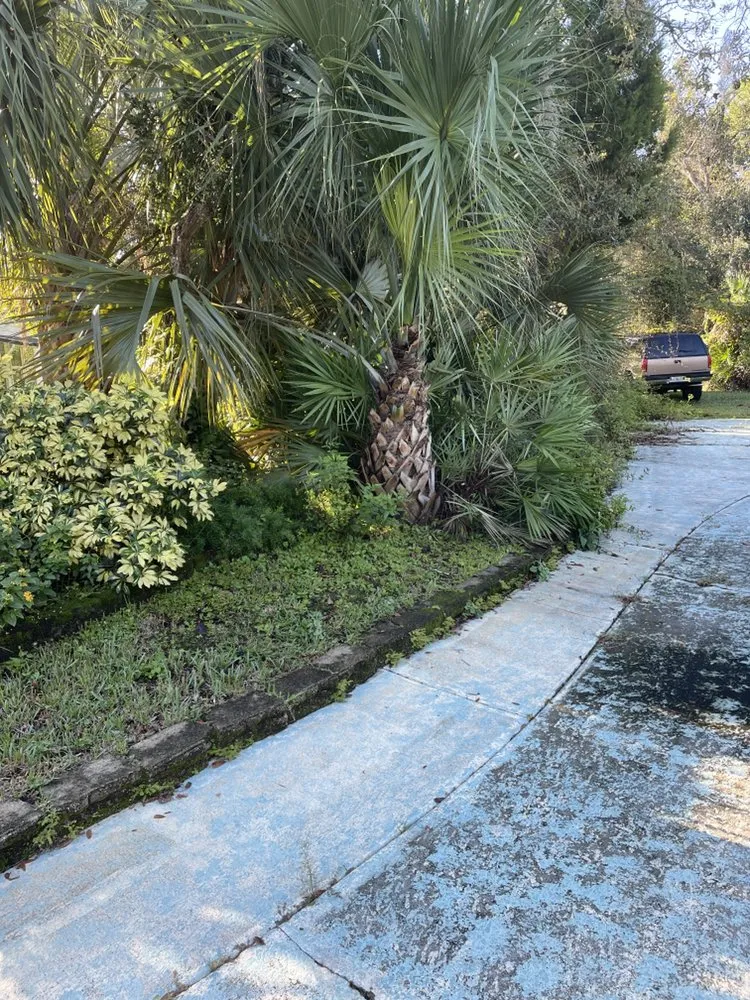 Reliable lawn care service in New Smyrna Beach, FL - Champ House