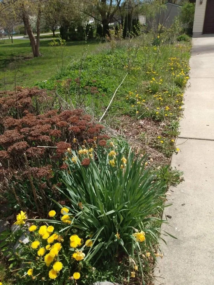 Expert residential landscaping for year-round maintenance in Valparaiso, IN by Champ Landscaping