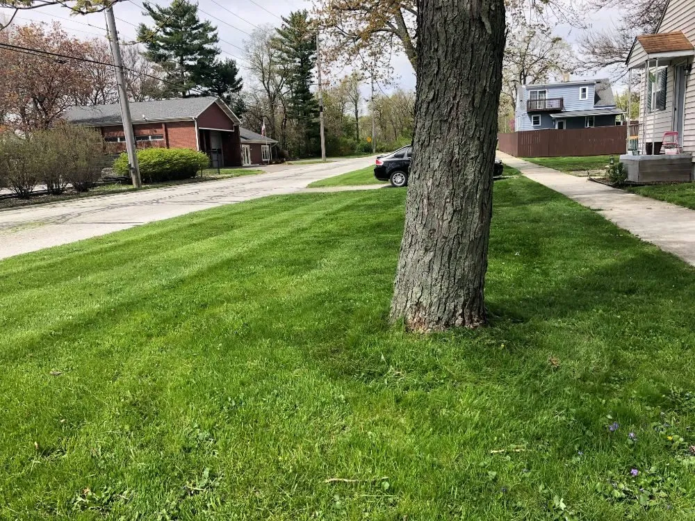 Professional landscaping services near you in Valparaiso, IN by Champ Landscaping