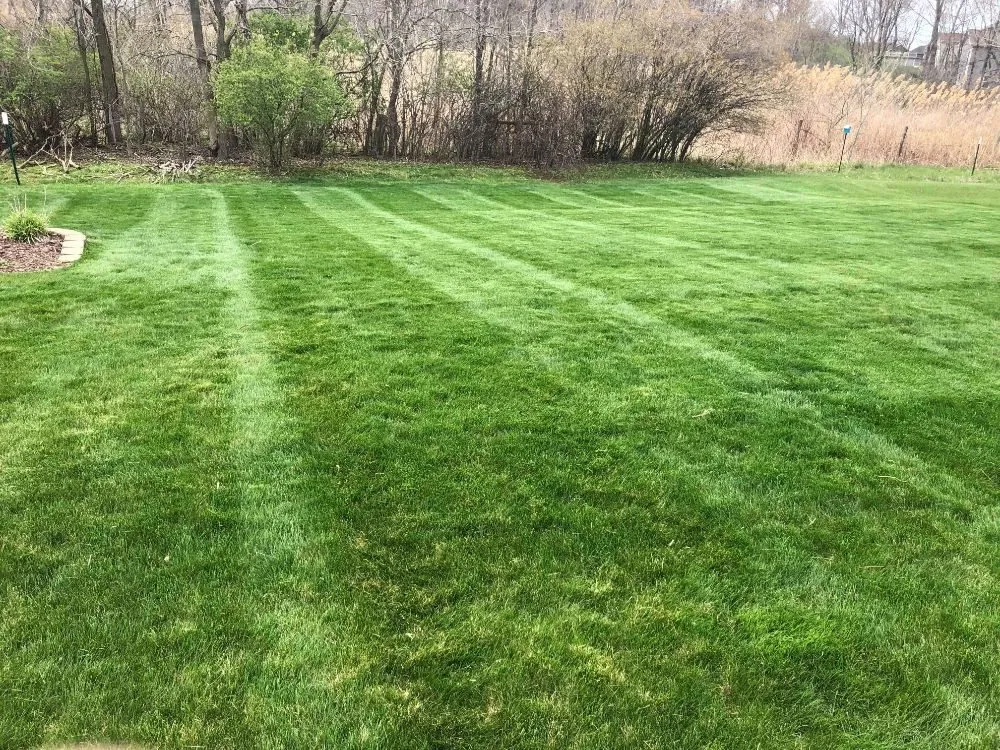 Top-rated lawn mowing service experts serving Valparaiso, IN - Champ Landscaping