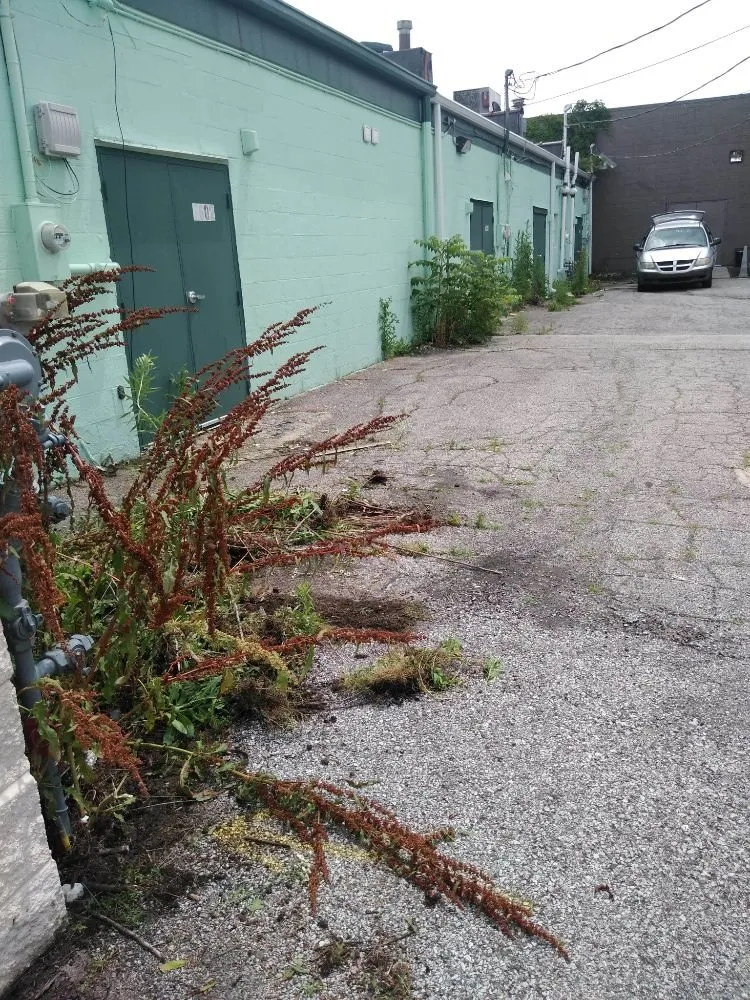 Professional residential landscaping in Valparaiso, IN - Champ Landscaping