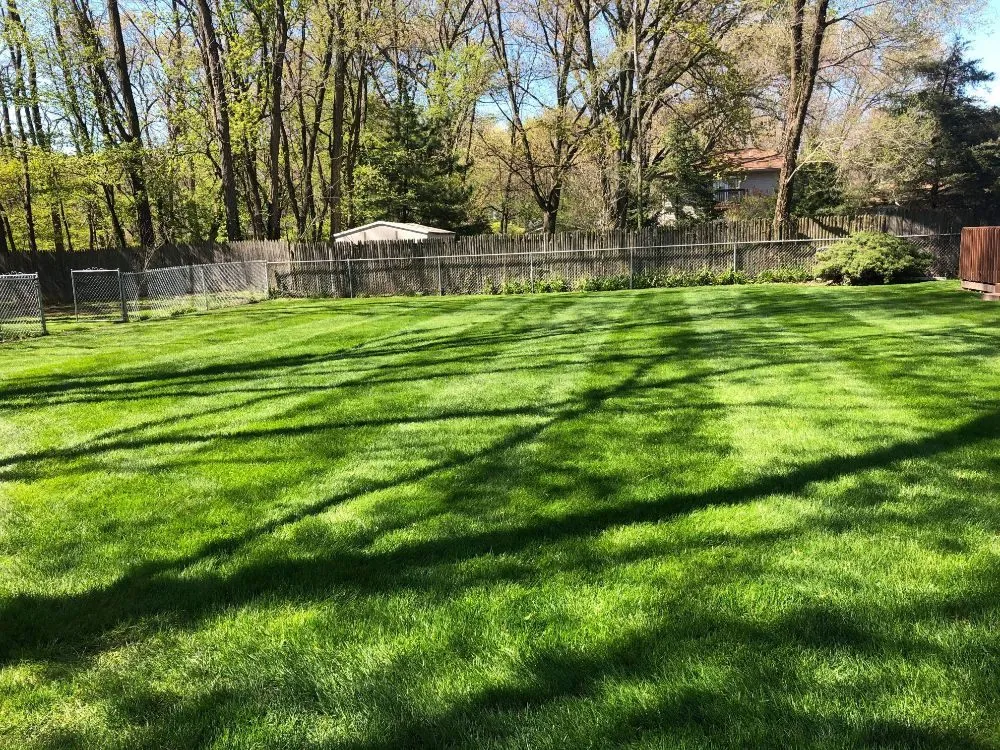 Reliable landscape installation for homes across Valparaiso, IN - Champ Landscaping