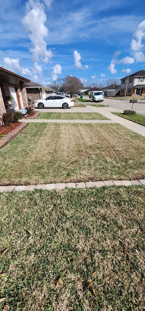 Affordable yard maintenance experts serving Westwego, LA - Champ Specialties