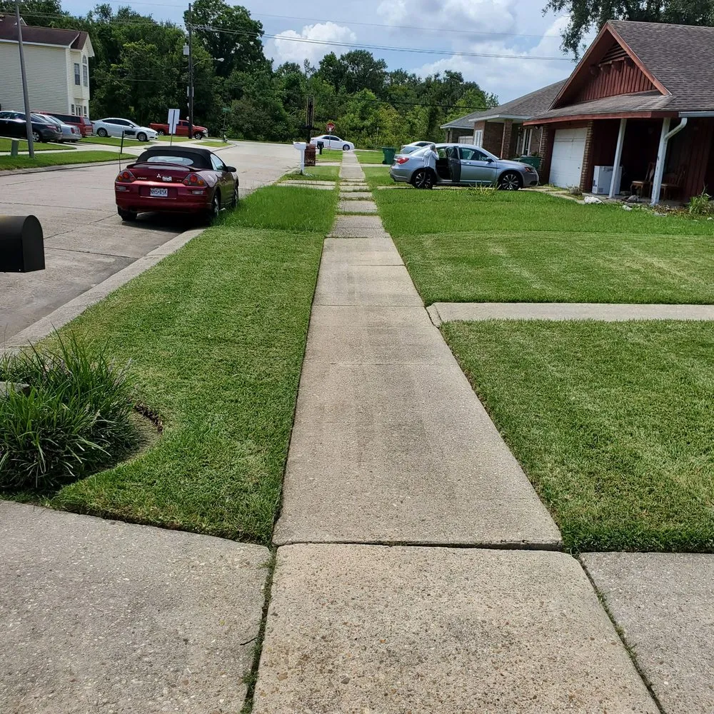 Professional yard cleanup service in Westwego, LA by Champ Specialties