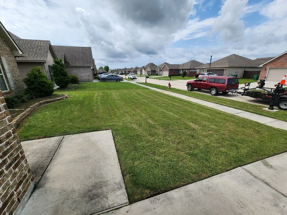 Affordable yard maintenance in Westwego, LA by Champ Specialties