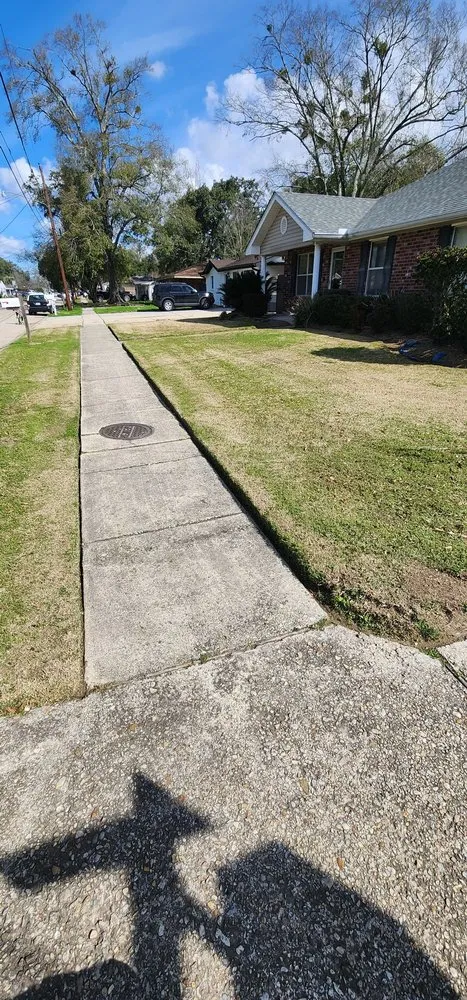 Trusted yard cleanup service experts serving Westwego, LA - Champ Specialties