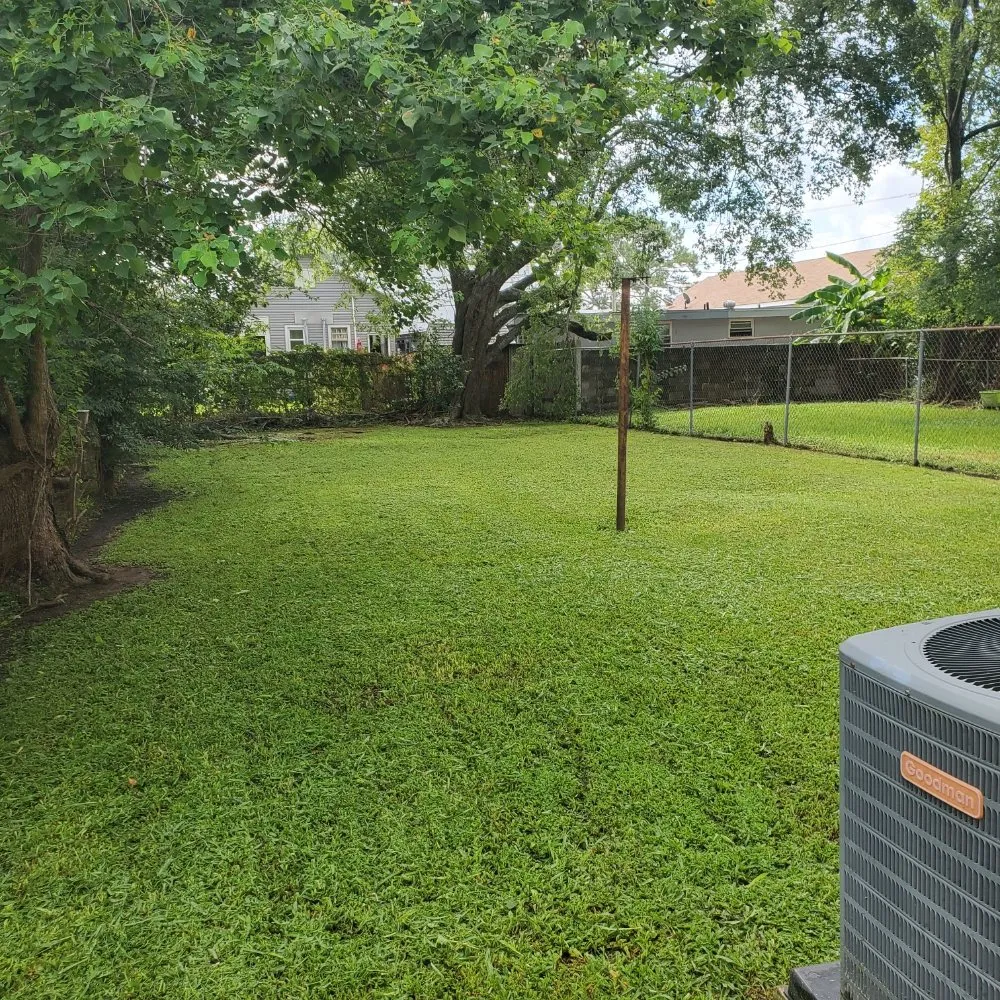 Professional yard cleanup service in Westwego, LA by Champ Specialties
