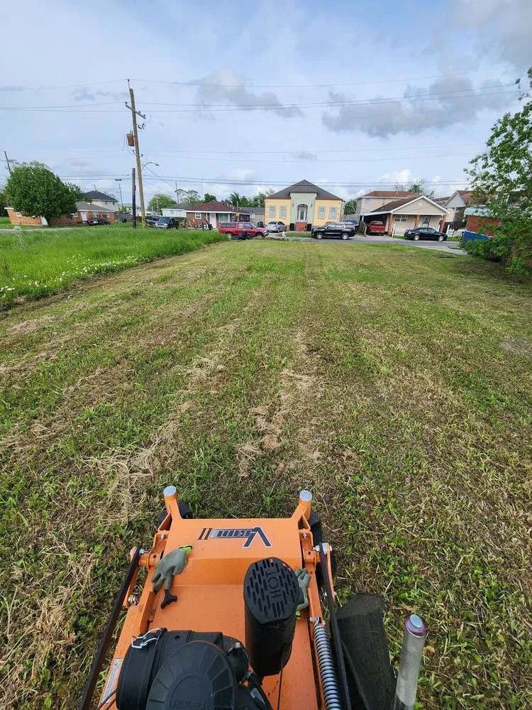 Reliable yard cleanup service for residential properties across Westwego, LA - Champ Specialties