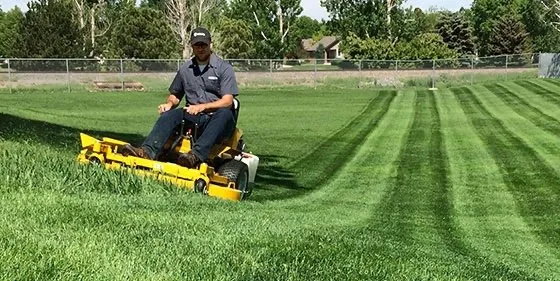 Local landscape design for residential properties in Cushing, ME by Champagne Lawn Care