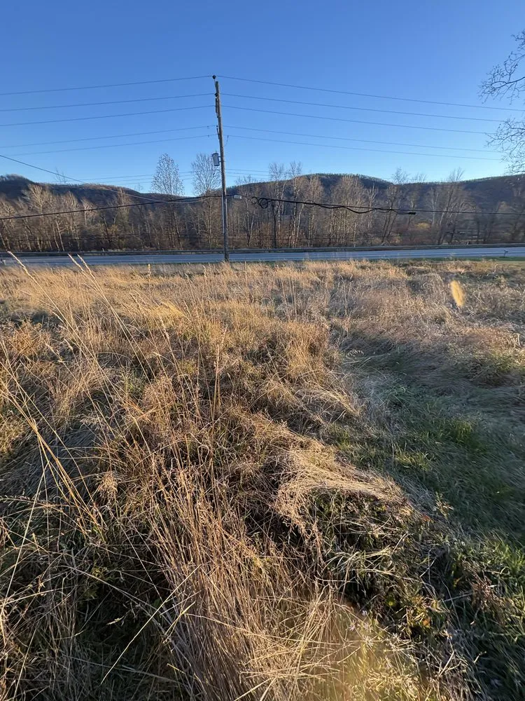 Top-rated landscape design in Lock Haven, PA - Champagnes All In One Handyman and Lawn Service