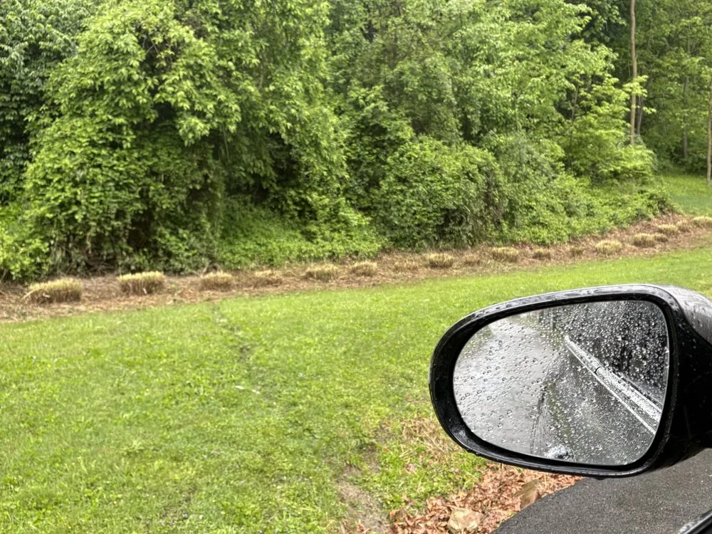 Local outdoor landscaping in Lock Haven, PA - Champagnes All In One Handyman and Lawn Service