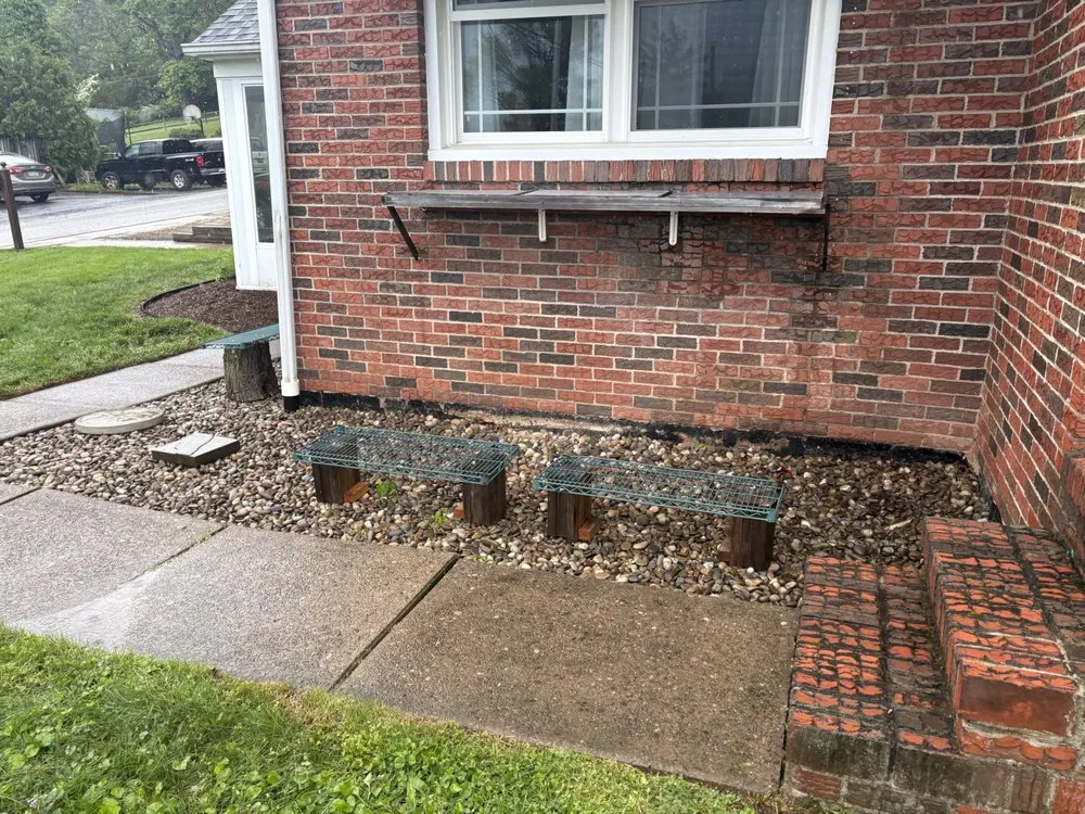 Expert yard cleanup service for residential properties in Lock Haven, PA by Champagnes All In One Handyman and Lawn Service