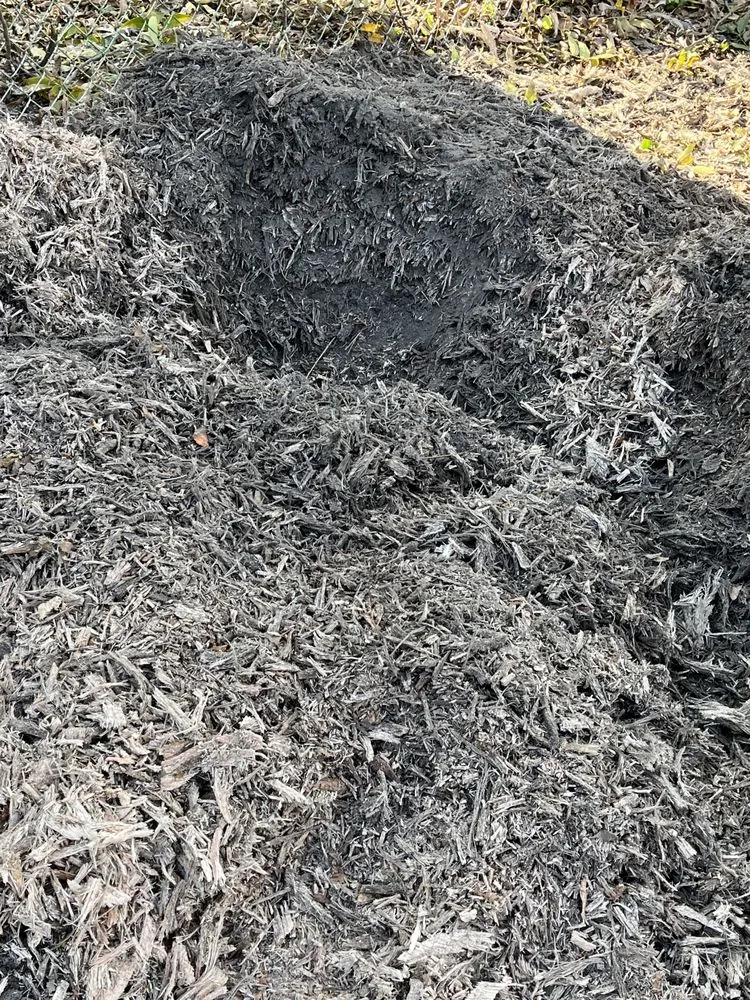 Reliable landscape installation in Petersburg, VA by Champion All Around Services