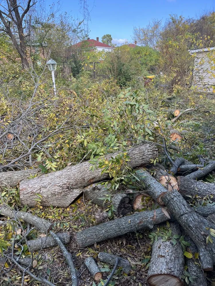 Trusted outdoor landscaping in Petersburg, VA by Champion All Around Services