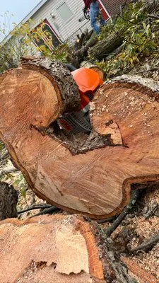 Champion All Around Services Logo