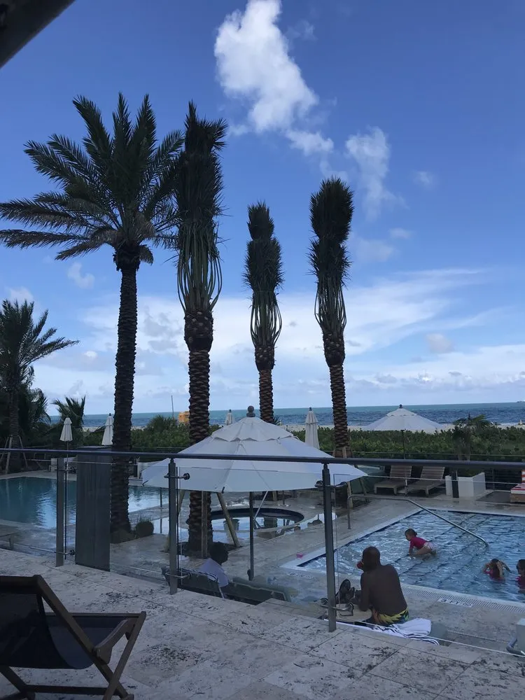 Expert yard maintenance in Miami, FL by Champion Bobcat & Excavator Services