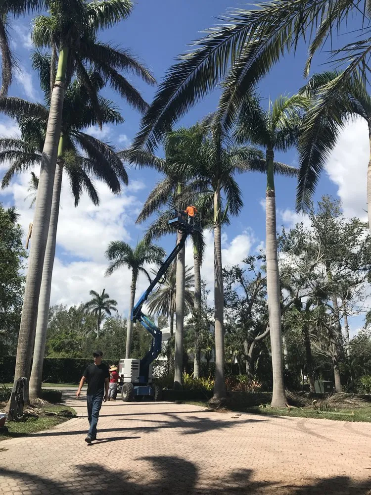 Expert lawn mowing service in Miami, FL - Champion Bobcat & Excavator Services