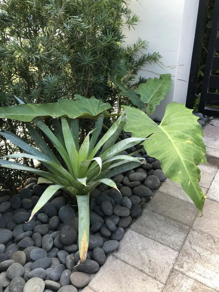 Local lawn care service for homes in Miami, FL by Champion Bobcat & Excavator Services