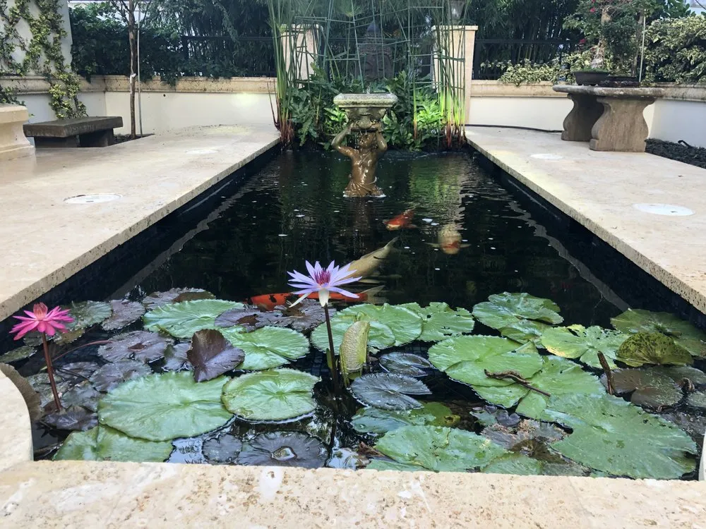 Local yard maintenance in Miami, FL - Champion Bobcat & Excavator Services