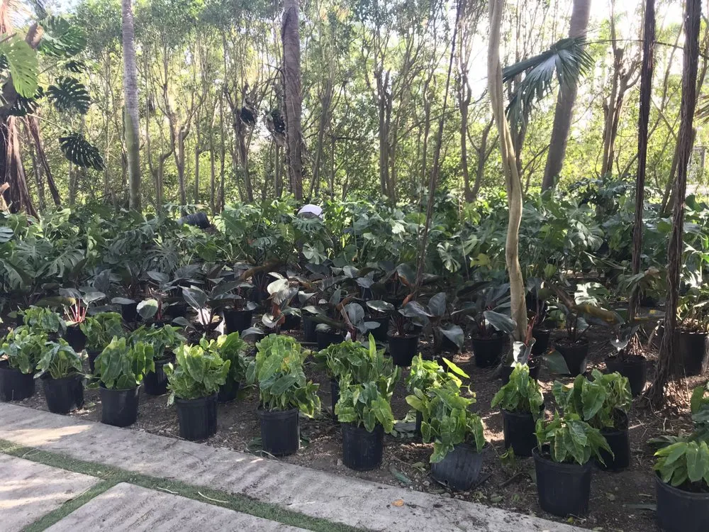 Expert outdoor landscaping experts serving Miami, FL - Champion Bobcat & Excavator Services