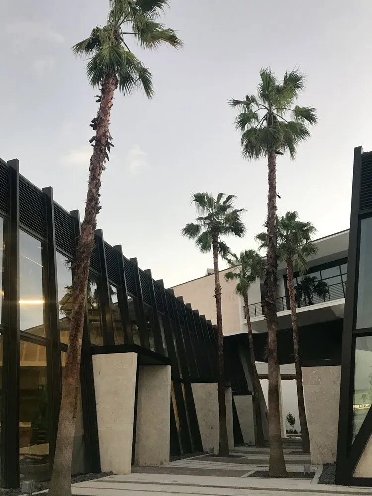 Custom residential landscaping in Miami, FL - Champion Bobcat & Excavator Services