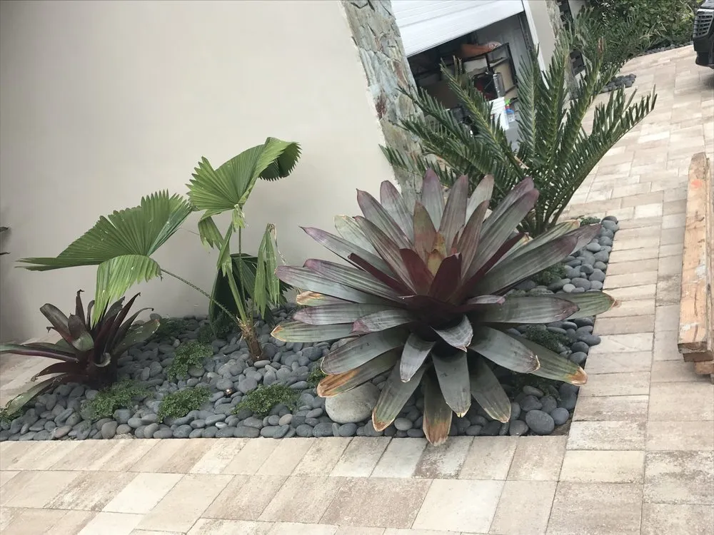 Expert yard cleanup service in Miami, FL - Champion Bobcat & Excavator Services