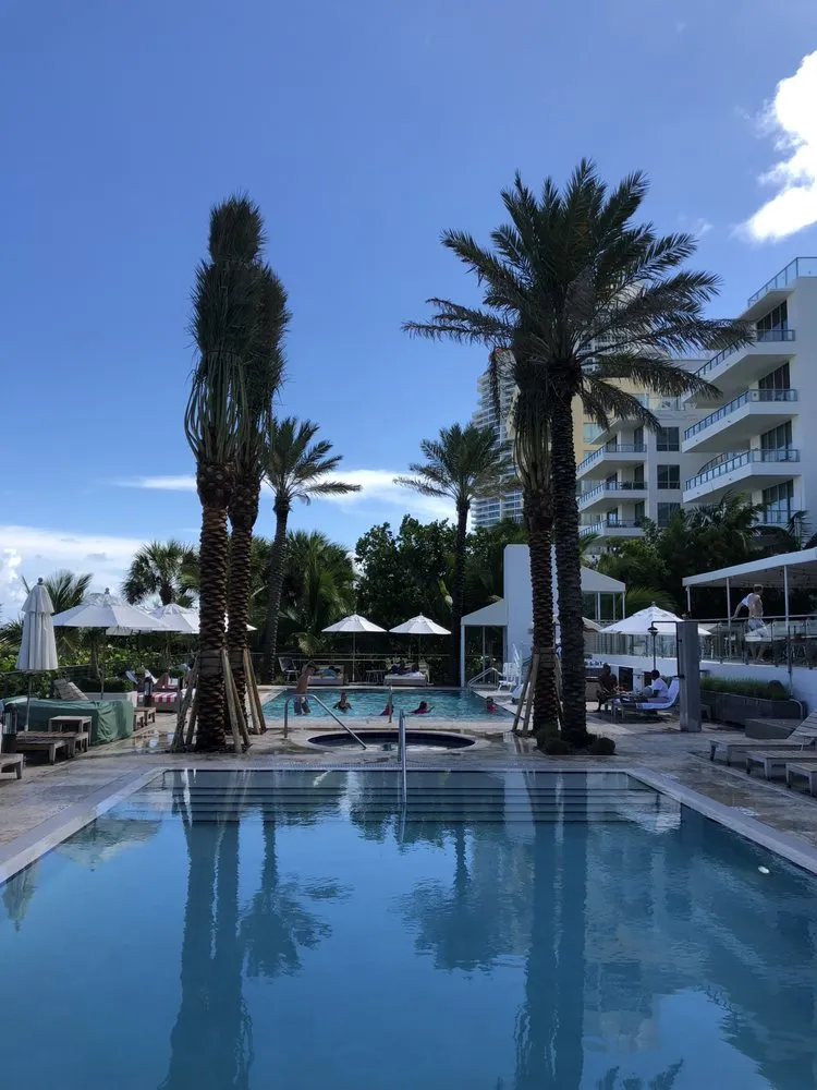 Top-rated yard cleanup service for homes in Miami, FL by Champion Bobcat & Excavator Services