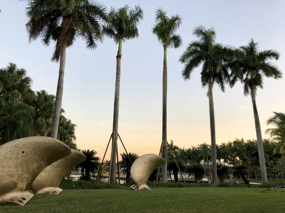 Reliable yard maintenance in Miami, FL - Champion Bobcat & Excavator Services