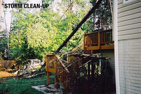 Custom lawn care service in Crossville, TN - Champion Contracting