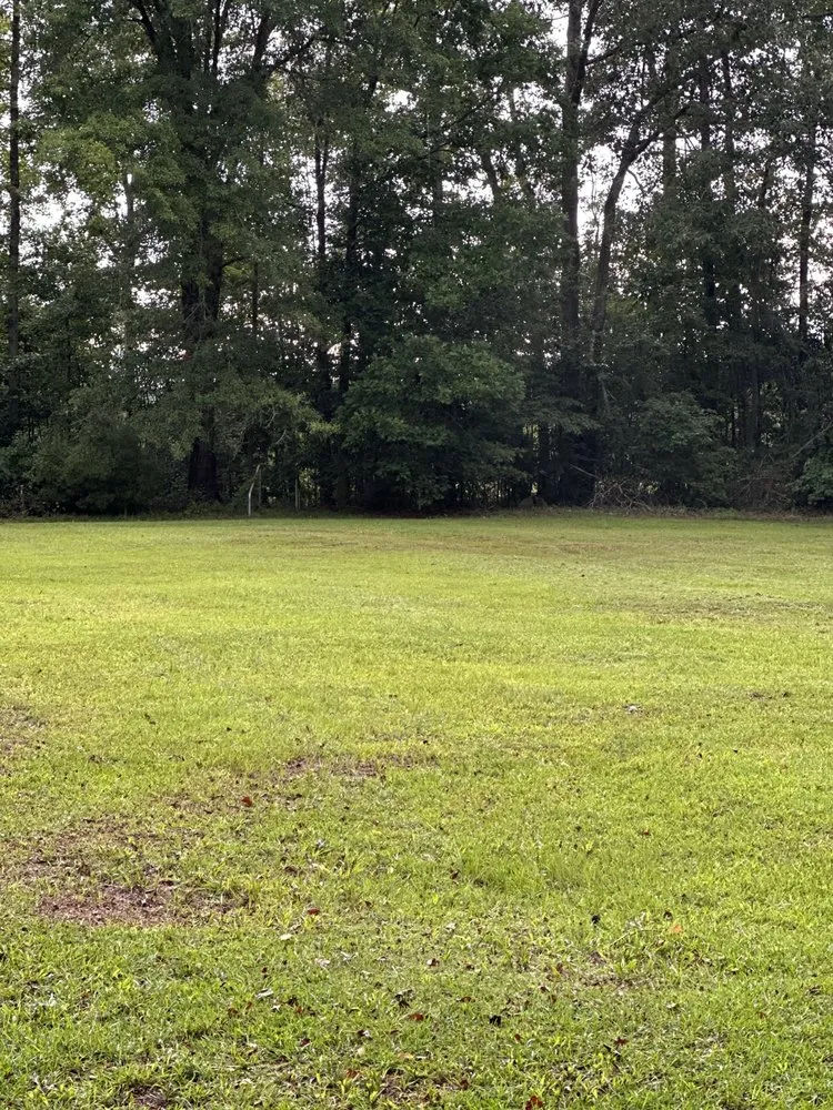 Custom residential landscaping experts serving Georgetown, SC - Champion Farms