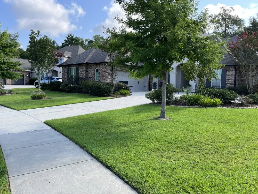 Professional lawn care service experts serving Walker, LA - Champion Grass Maintenance